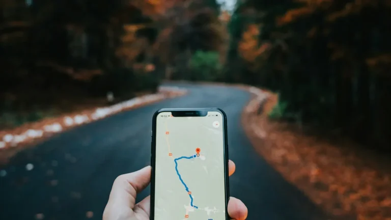 Mão a segurar telemóvel com mapa de navegação aberto numa estrada florestal
