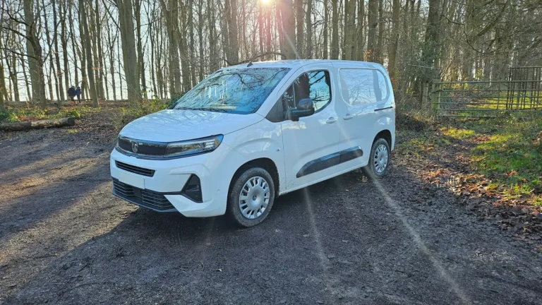Carrinha de carga branca estacionada num caminho de terra no meio de um bosque, pronta para decorar