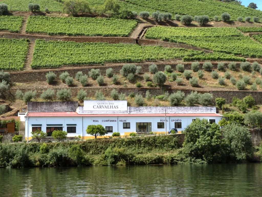 Casa na encosta de uma colina junto ao rio, marketing digital em Miranda do Douro
