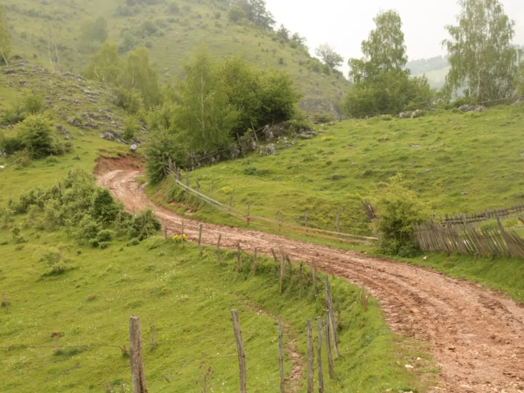 Estrada de terra no meio de uma encosta verdejante, marketing digital em Murça