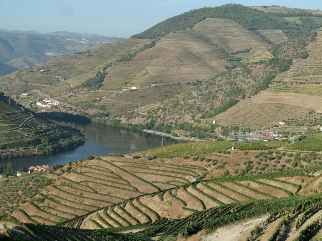 Vale verde atravessado por um rio entre colinas, marketing digital para empresas de Vila Real